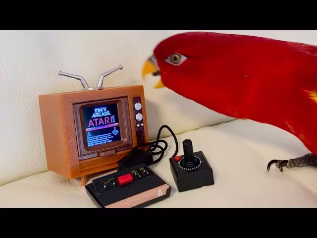 神秘扩展 (Mystic Expansion)