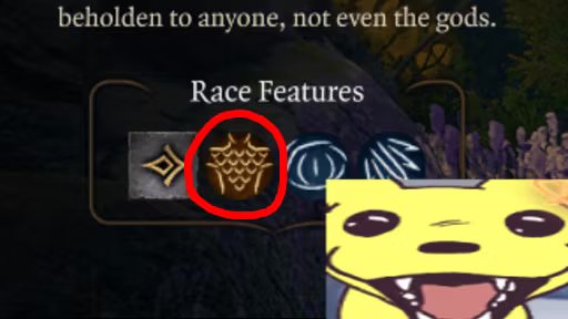 龙裔获得龙鳞韧性 (Dragonborns get Draconic Resilience)