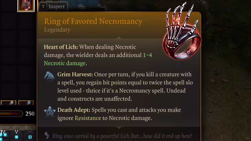 受宠的亡灵法戒 (Ring of Favored Necromancy)