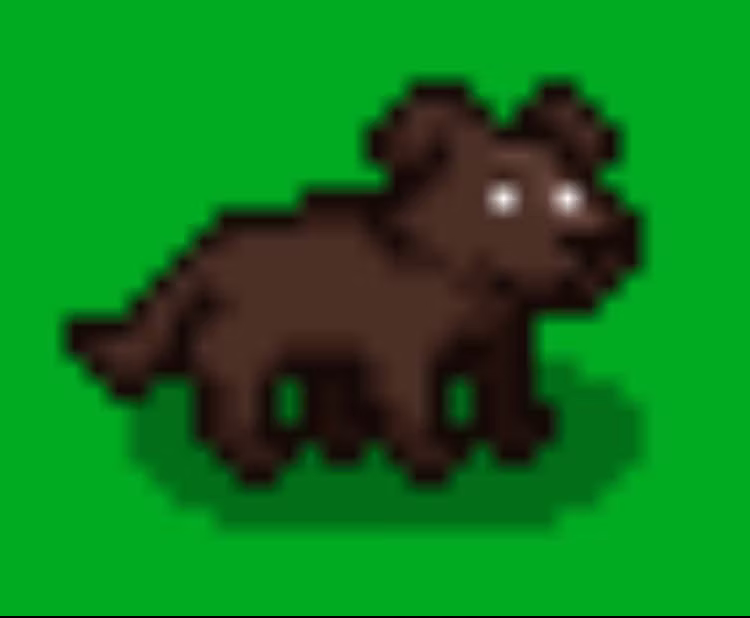 太阳之环 (Circle of the Sun)