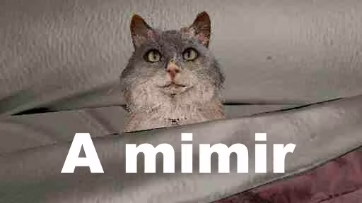 无限短休戒指 (Ring of Unlimited Short Rests)