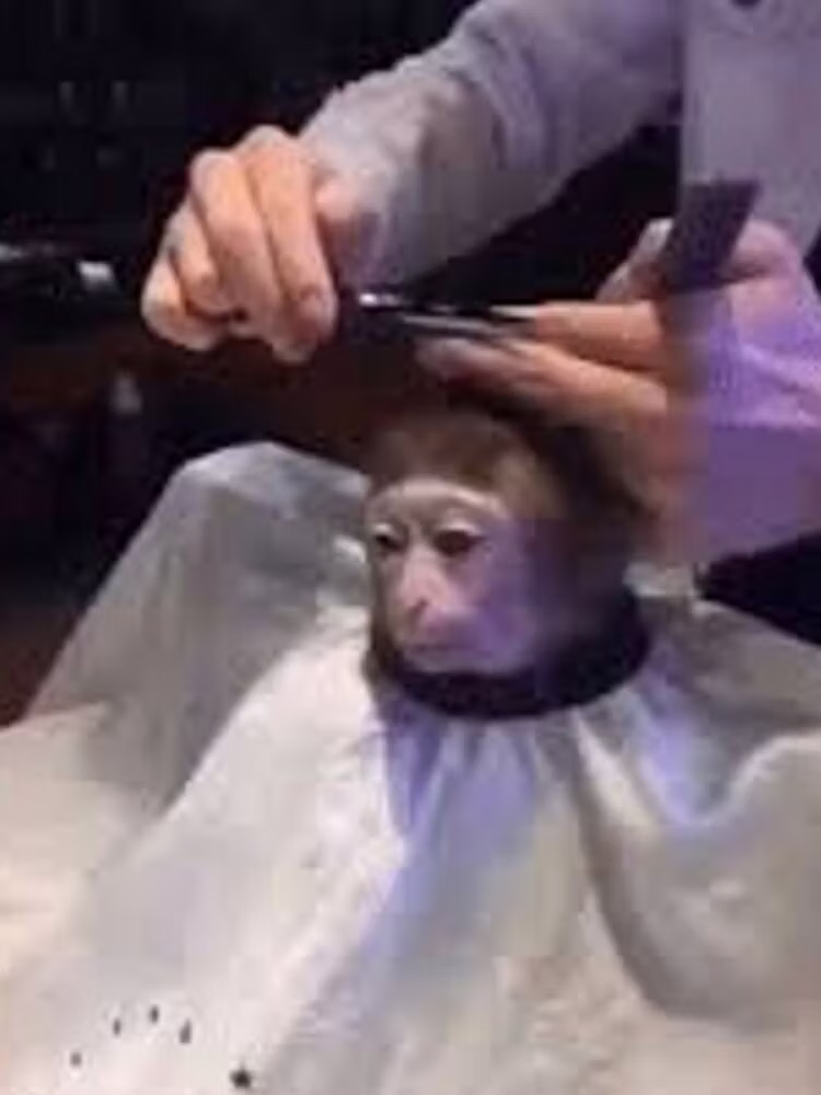 强力功绩 (MightyFeats)