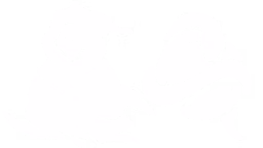 欺诈幽灵 (Haunted Charlatan)