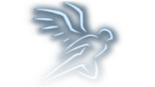 永久飞行 (PermanentFly)