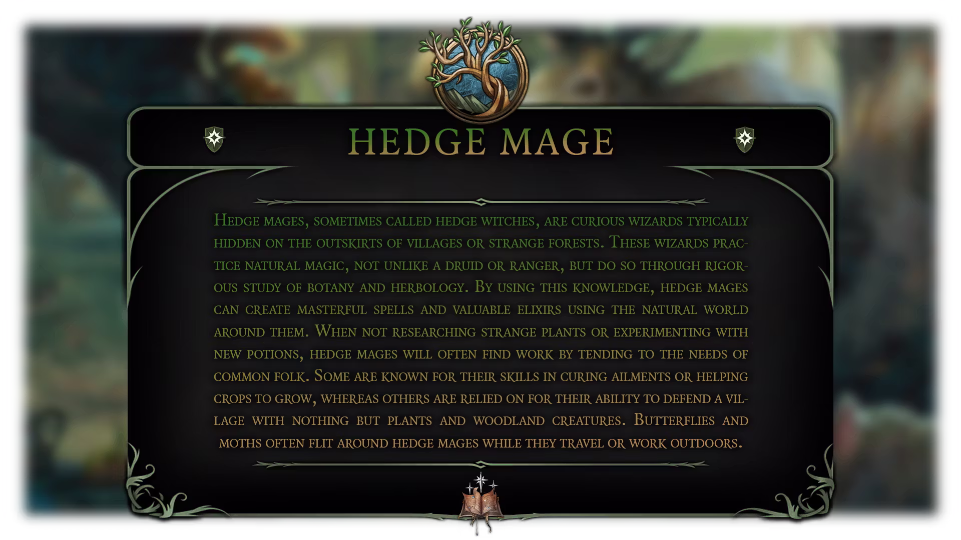 刺篱法师巫师副职业 (Hedge Mage Wizard Subclass)