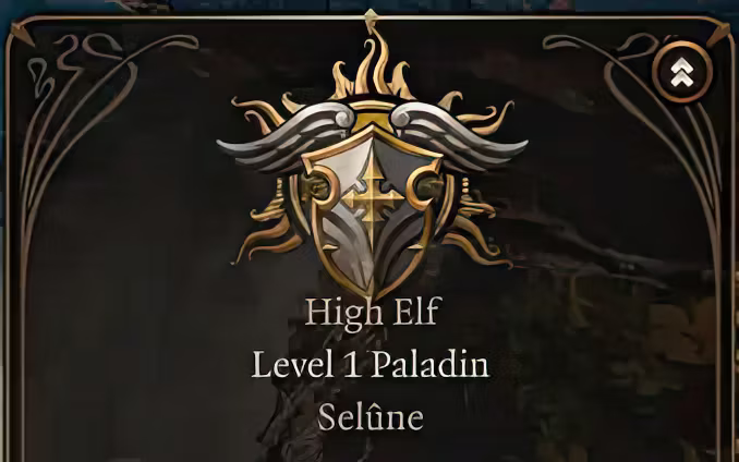 圣骑士神祇 (Paladins Deity)