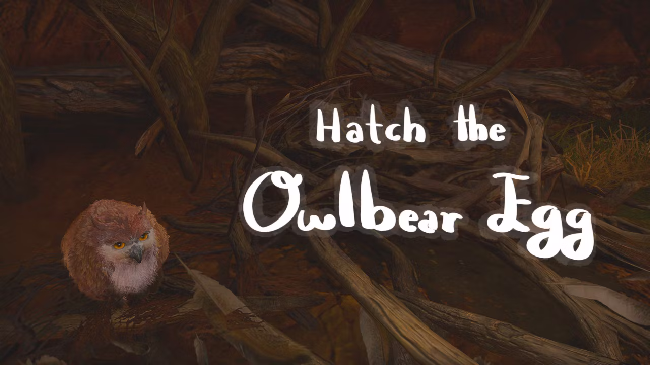 孵化猫头鹰幼熊蛋 (Hatch the Owlbear Egg)