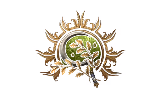 德鲁伊专长每3级一个 (Druid Feat Every 3 Levels)