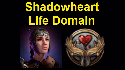 暗影之心生命领域默认副职 (Shadowheart Life Domain Default Subclass)