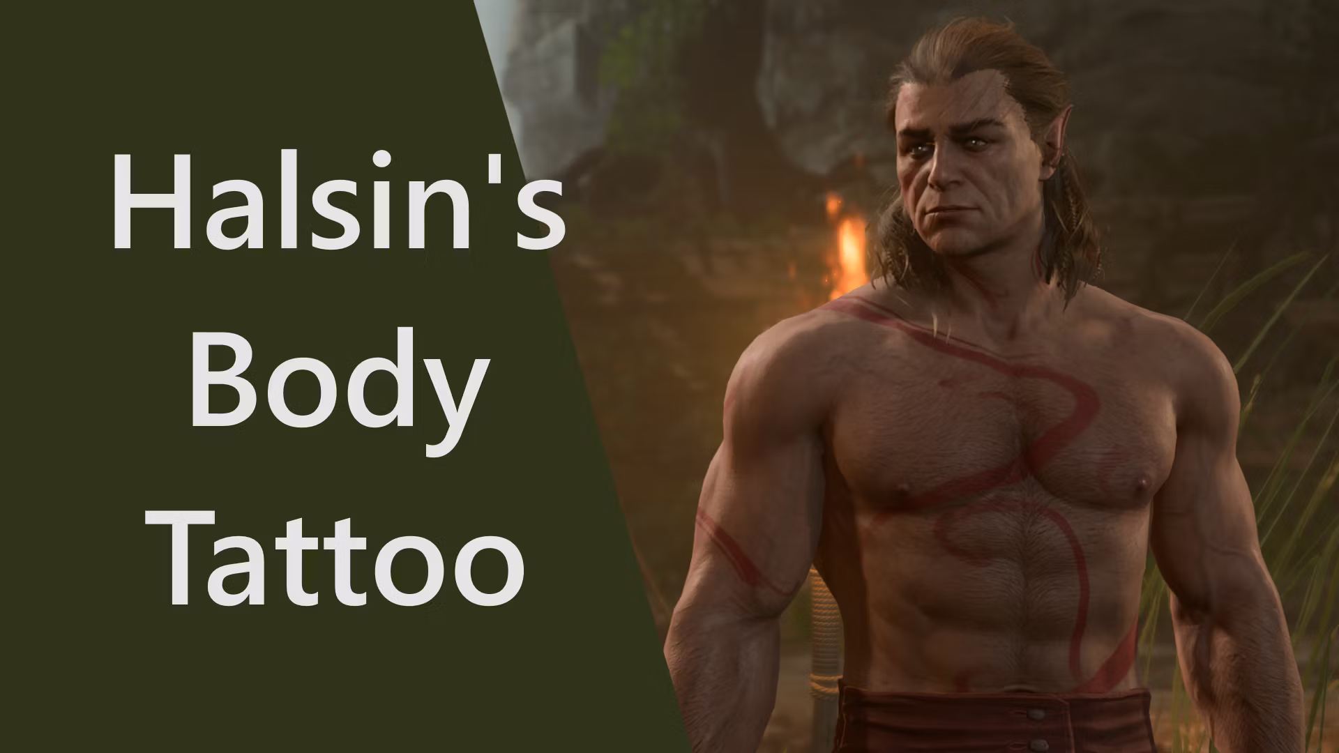 Halsin 的身体纹身 (Halsin’s Body Tattoo)