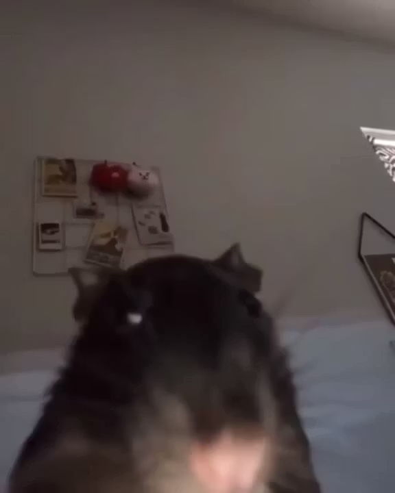 Aurum Thingy (Aurum Thingy)