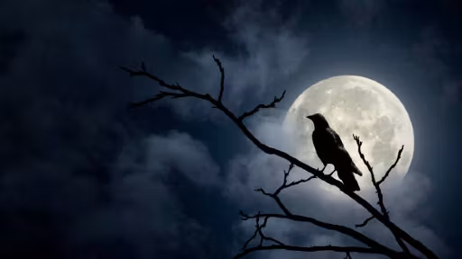 乌鸦领主——变形为乌鸦的专长 (Ravenlord – a Wildshape Feat)