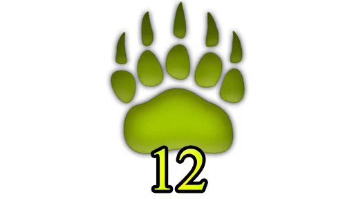 额外野形变身次数 (Extra Wild Shape Charges)