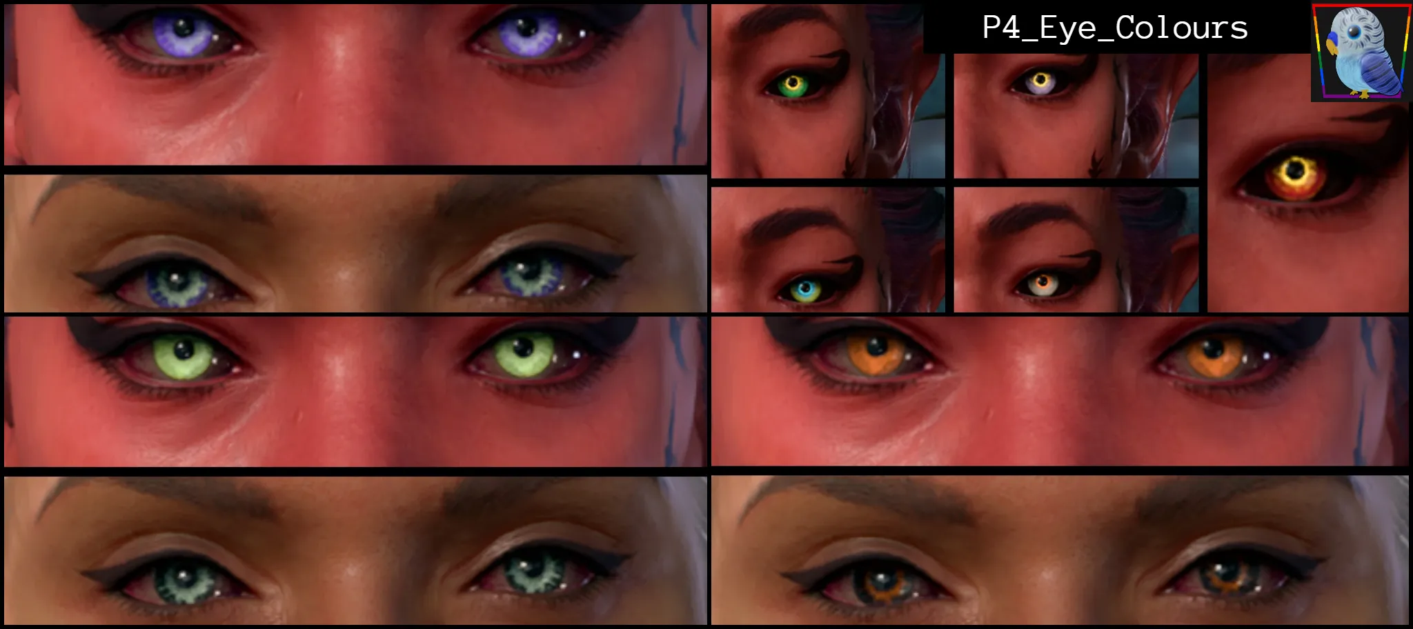 P4_Eye_Colours (P4_Eye_Colours)