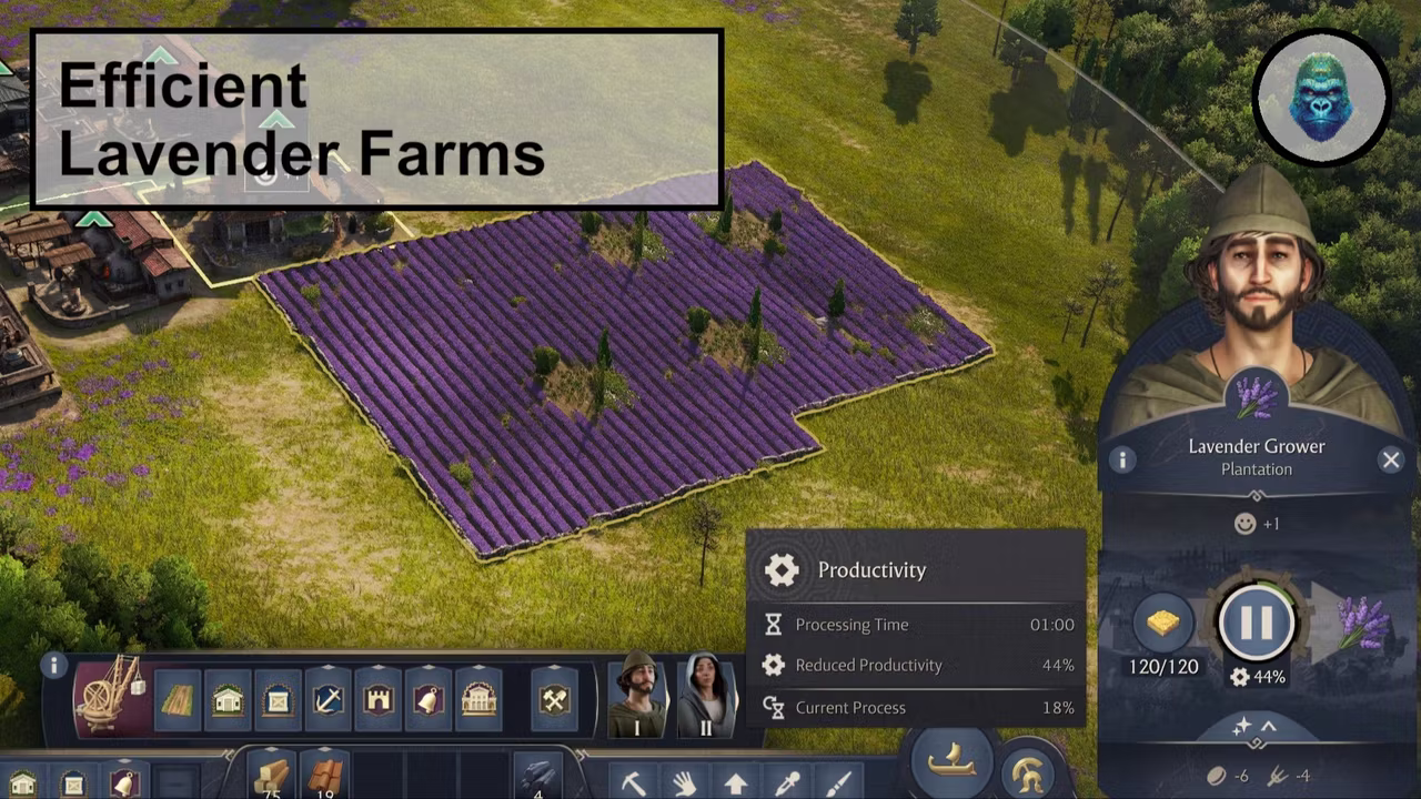 高效薰衣草农场：提高生产效率的新途径