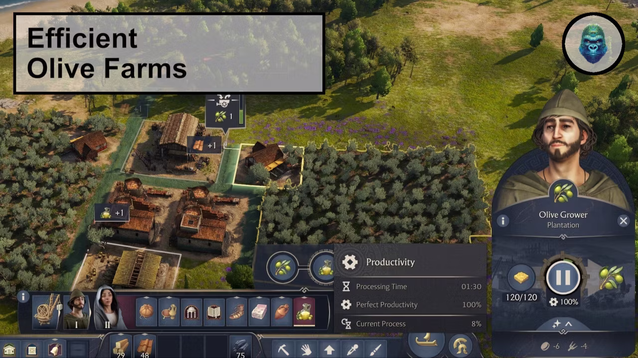 橄榄农场高效优化