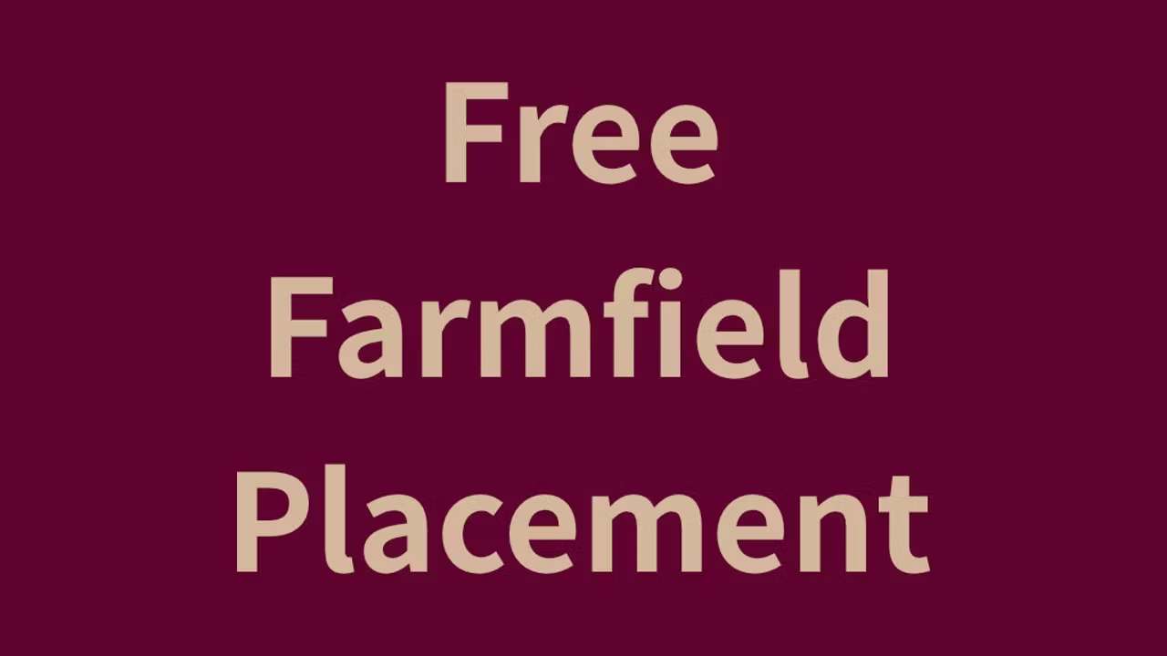 自由农场地块放置模组：解锁农业布局新维度