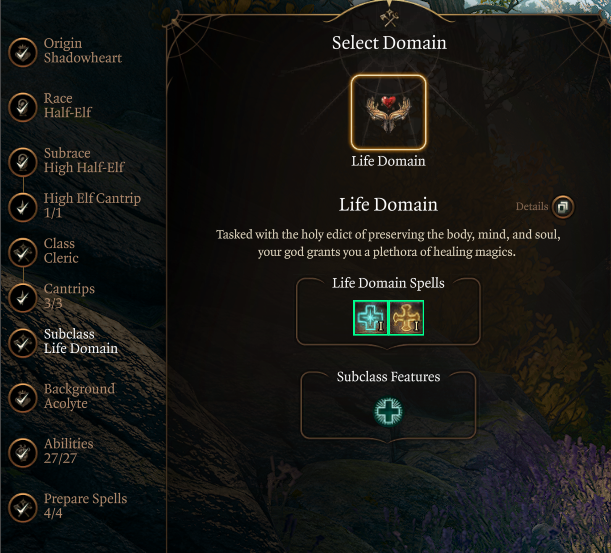 暗影之心生命领域默认副职 (Shadowheart Life Domain Default Subclass)