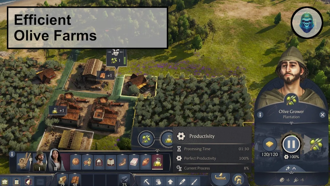 橄榄农场高效优化